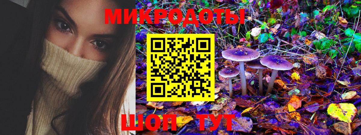 Галлюциногенные грибы ЛСД  где купить наркотик  Буйнакск  Вход с VPN 