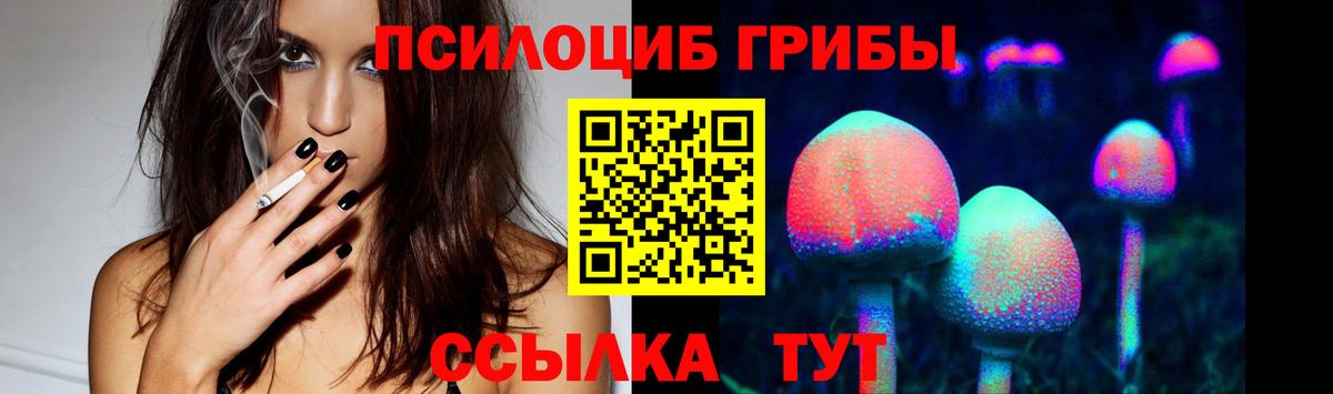 Галлюциногенные грибы MAGIC MUSHROOMS Буйнакск