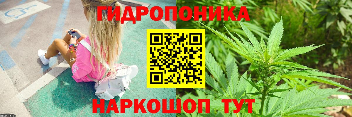 Конопля конопля Буйнакск