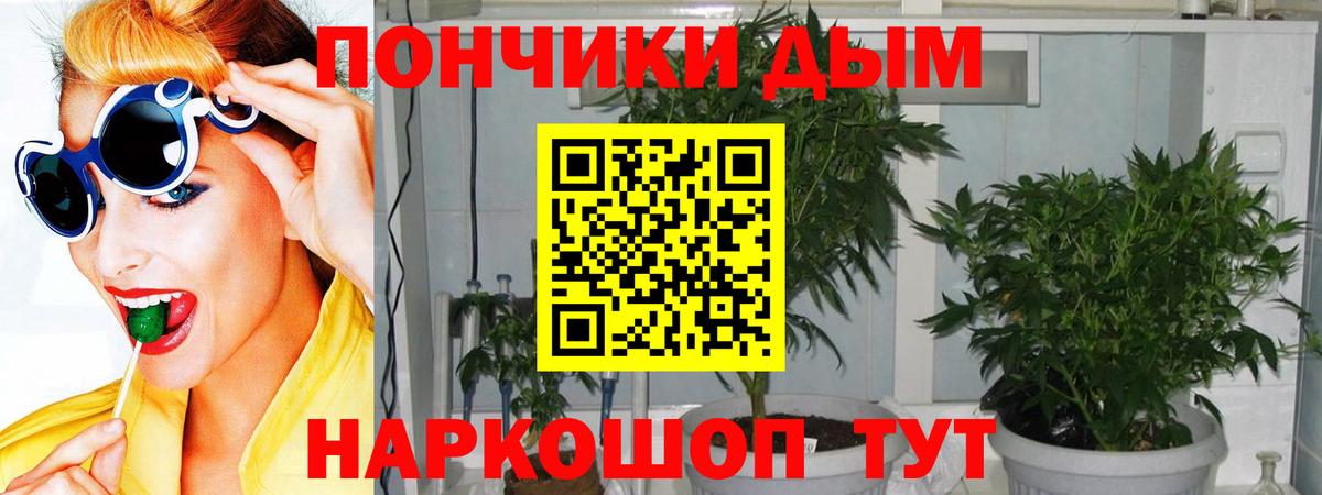 Марихуана SATIVA & INDICA  Конопля гибрид  Вход с VPN  Конопля THC 21%  Буйнакск 